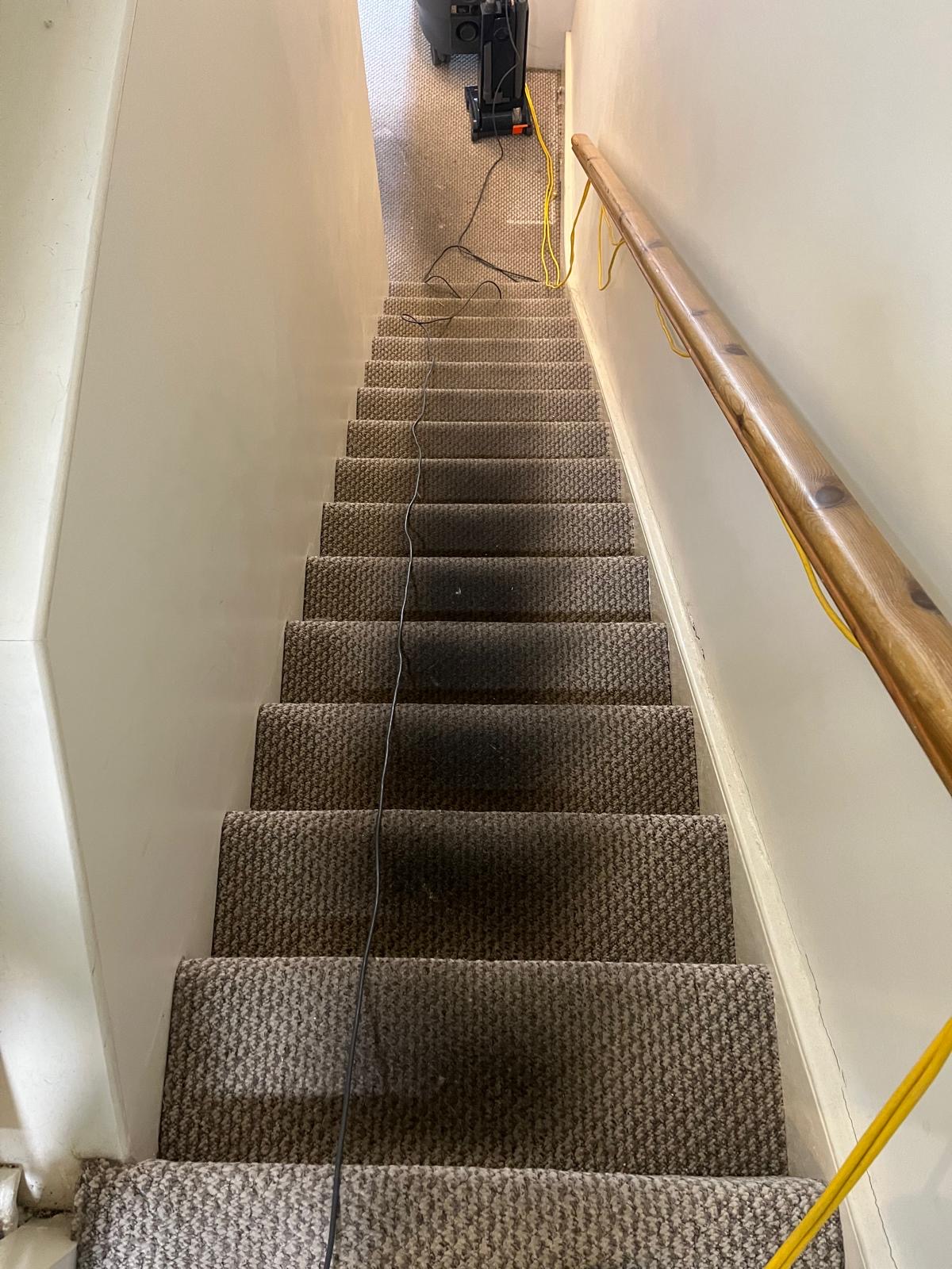 1b29600a-7d20-4bf6-883a-2f144b12c62f