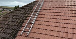 How Often Should You Have Your Roof Cleaned in Brighton and Sussex?