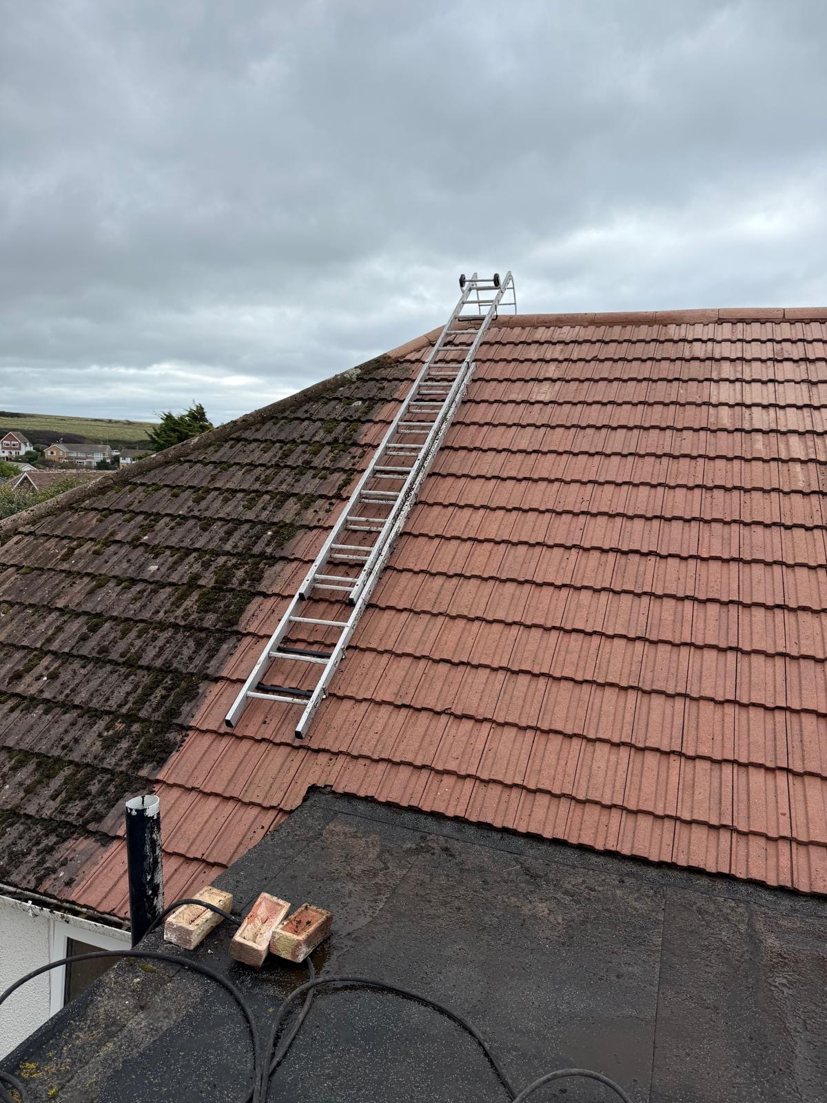 2888c63a-c5c9-4ba0-ad16-b89a983c61b5