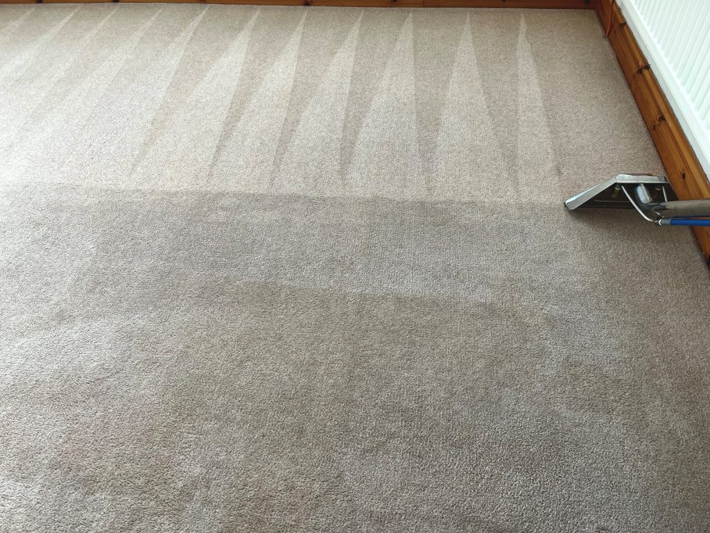 Carpet cleaning result