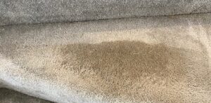 4 Carpet Cleaning Myths: Debunking 4 Common Cleaning Misconceptions