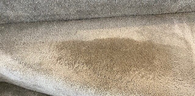 Carpet cleaning result