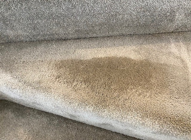 Professional Carpet Cleaning www.cleanrescue.uk