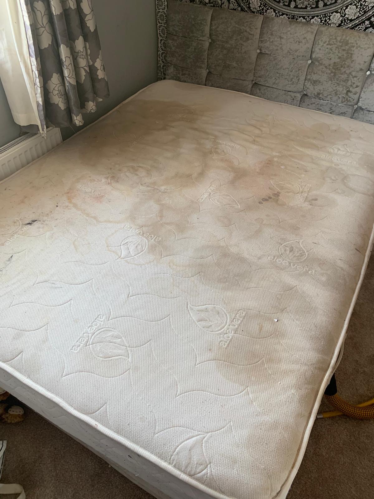 f19c228a-f728-4fe0-bd76-755689efb51d